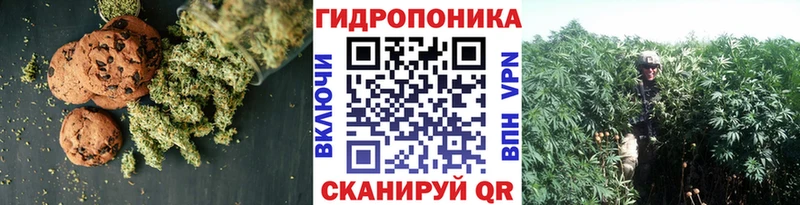 Печенье с ТГК конопля  кракен рабочий сайт  Гаджиево 