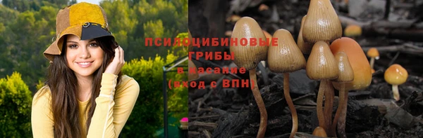 СК Осинники