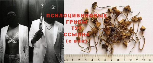 jwh Арсеньев