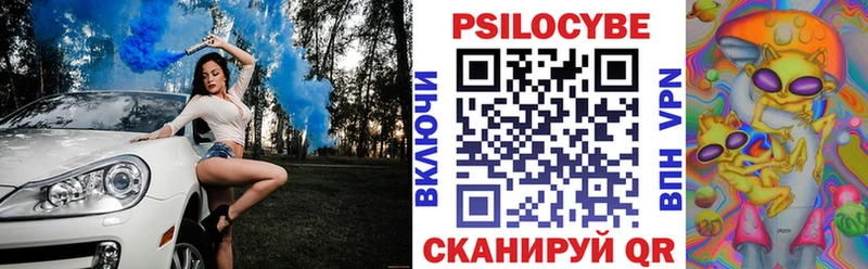 купить наркоту Гаджиево Псилоцибиновые грибы мухоморы